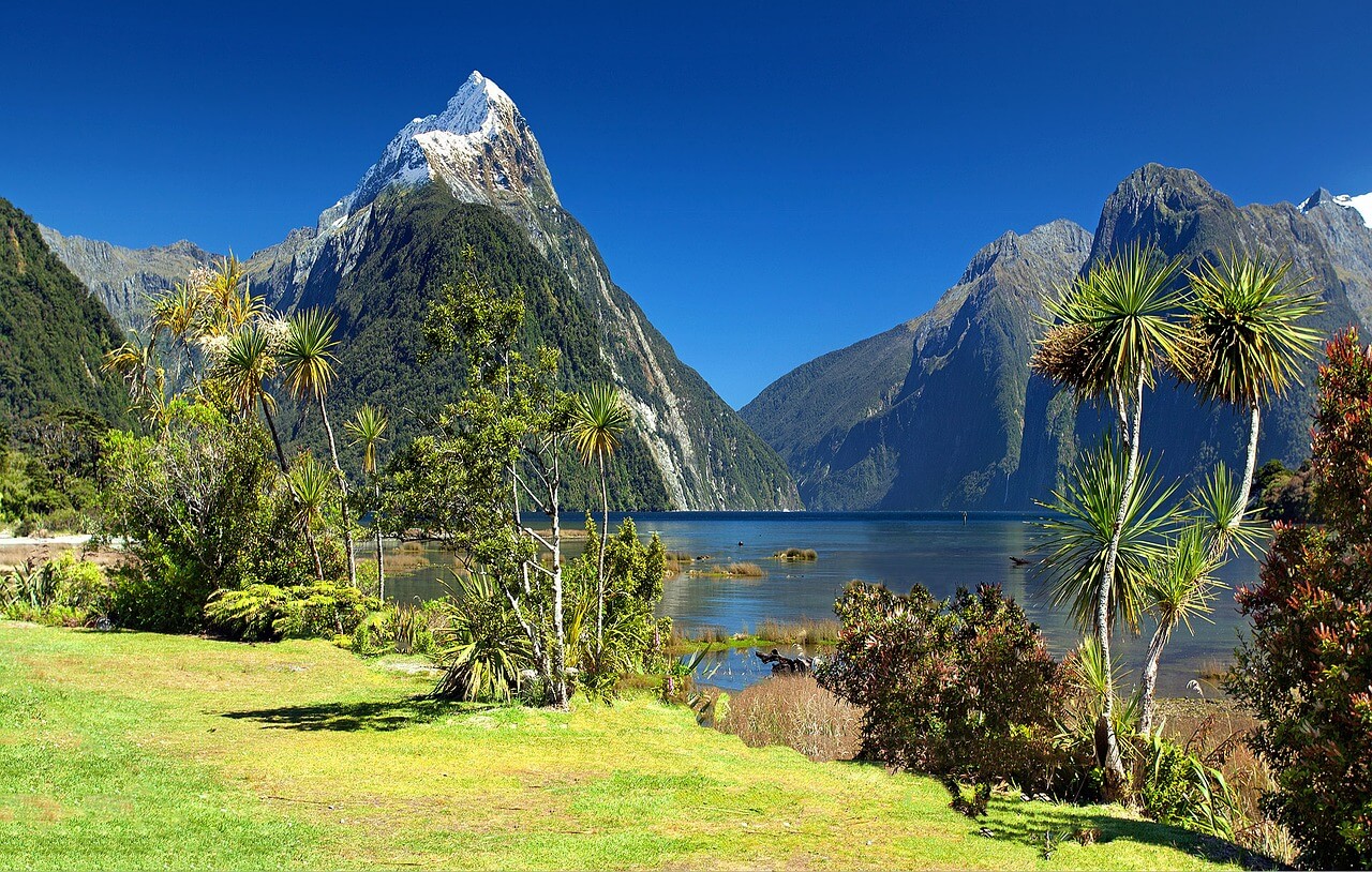 Read more about the article How to Travel Like a Local: 5 Best Tips For Amazing Trips