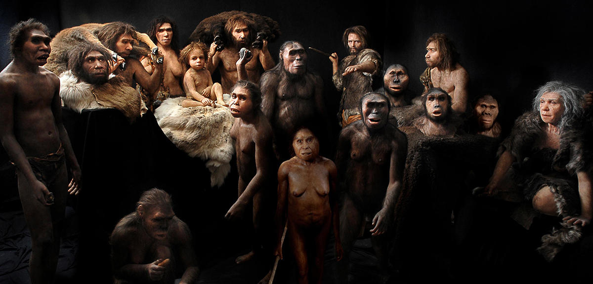 You are currently viewing Understanding Human Interbreeding: A Journey Through Our Genetic Heritage