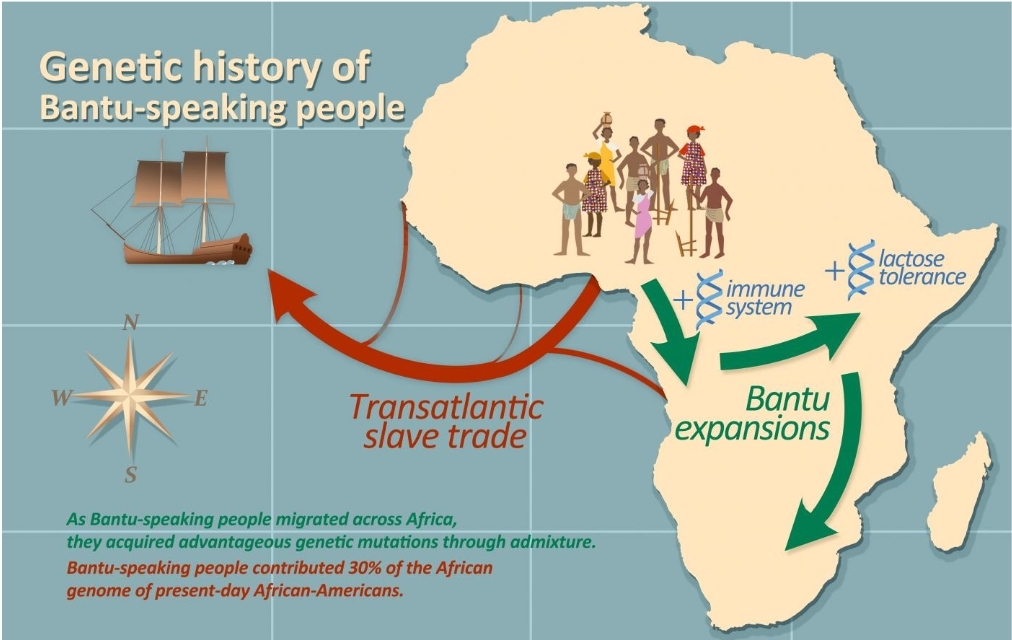 Read more about the article The Bantu Origins: A Journey Through the Historical Biafra Region.